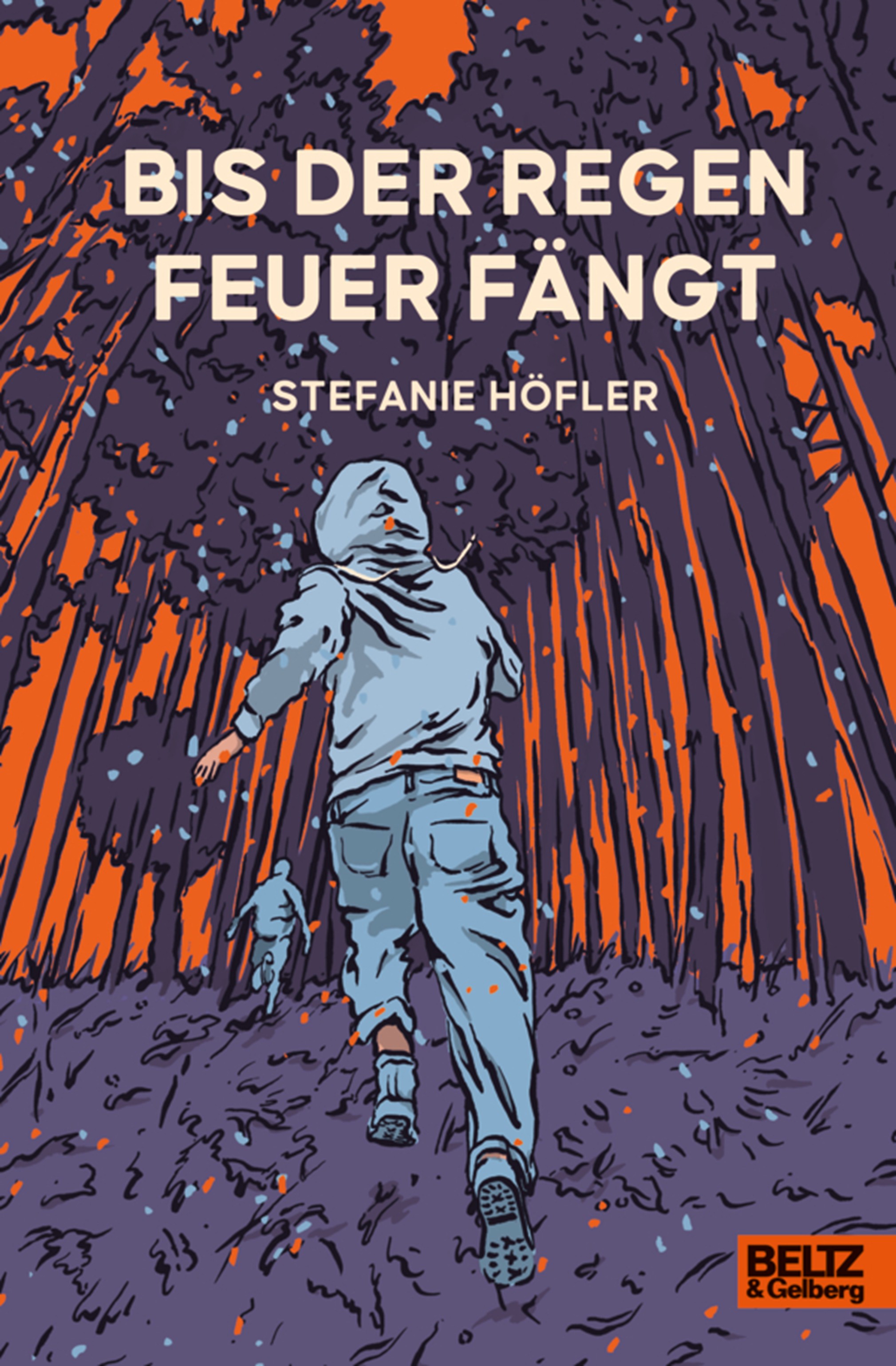 Cover Bis der Regen Feuer fängt