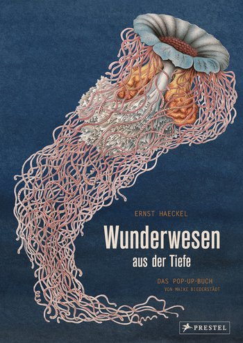 Haeckel, Ernst/Biederstädt, Maike: Wunderwesen aus der Tiefe. Das Pop-Up-Buch